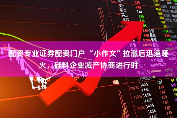 配资专业证券配资门户 “小作文”拉涨后迅速哑火，硅料企业减产协商进行时