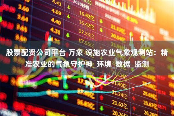 股票配资公司平台 万象 设施农业气象观测站：精准农业的气象守护神_环境_数据_监测