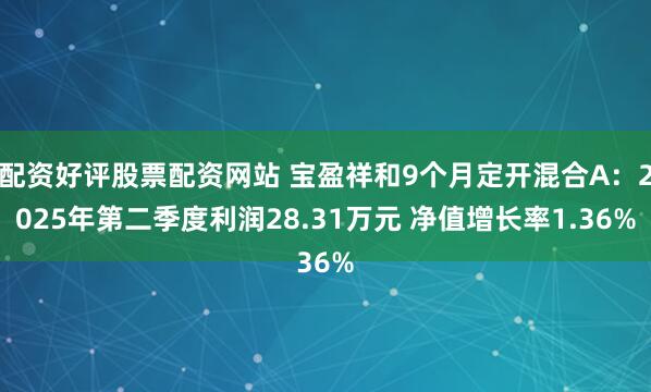 配资好评股票配资网站 宝盈祥和9个月定开混合A：2025年第二季度利润28.31万元 净值增长率1.36%