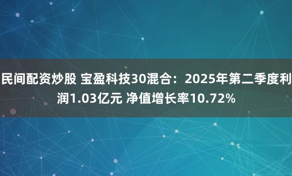 民间配资炒股 宝盈科技30混合：2025年第二季度利润1.03亿元 净值增长率10.72%